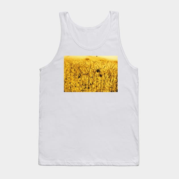 Cerebral cortex nerve cells (P360/0286) Tank Top by SciencePhoto